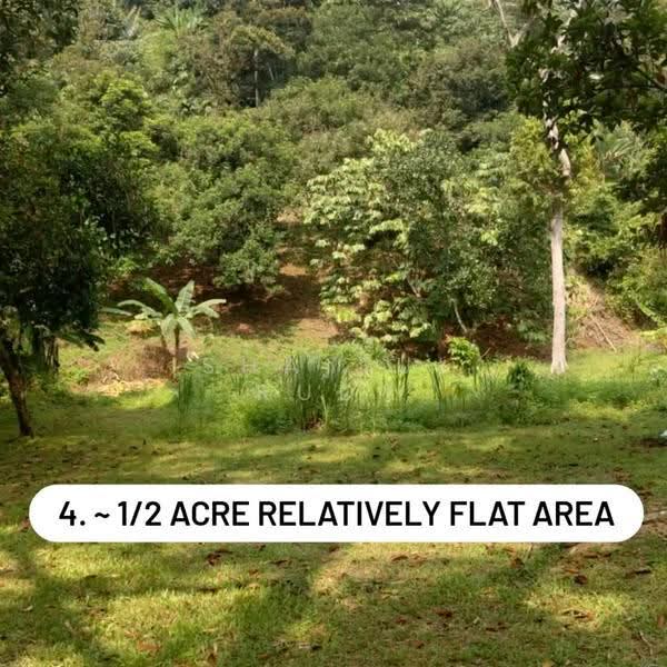 Agricultural Land for Sale in Selayang (Selangor) - Shaiful Rudy - Garden - PropertyGuru.com.my
