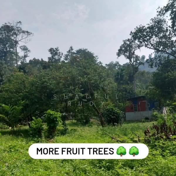 Agricultural Land for Sale in Selayang (Selangor) - Shaiful Rudy - Exterior - PropertyGuru.com.my