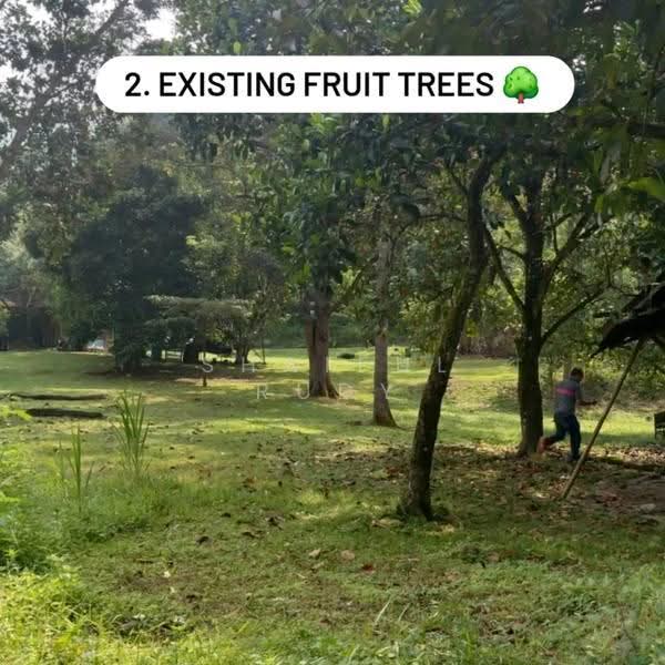Agricultural Land for Sale in Selayang (Selangor) - Shaiful Rudy - Garden - PropertyGuru.com.my
