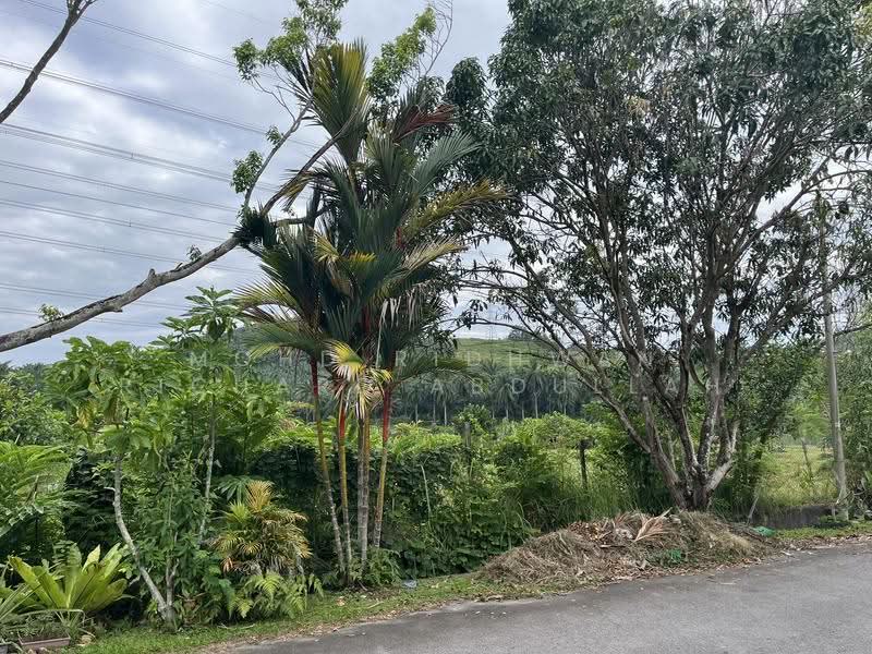 Semi-Detached House for Sale in Taman Dahlia (Sepang) - Mohd Ridhwan Richard Abdullah - Exterior - PropertyGuru.com.my