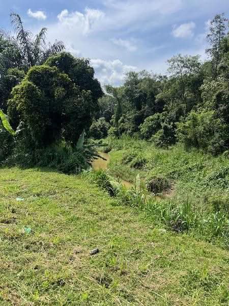 Tanah Pertanian untuk Dijual di Behrang (Hulu Bernam Timor) - HL Qua - Garden - PropertyGuru.com.my