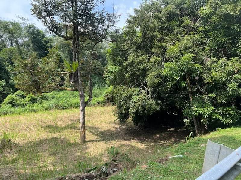 Tanah Pertanian untuk Dijual di Behrang (Hulu Bernam Timor) - HL Qua - Garden - PropertyGuru.com.my
