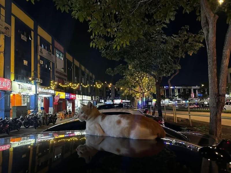 Shop / Office untuk Disewa di Larkin (Johor Bahru) - Cora Loh - Exterior - PropertyGuru.com.my