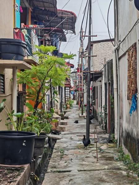 2-storey Terraced House for Sale in Petaling Jaya (Selangor) - Fauran Nawawi - PropertyGuru.com.my