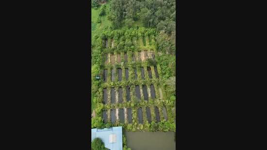 Agricultural Land for Sale in Taman Jerlun (Kuala Kangsar) - Gary Tang - PropertyGuru.com.my