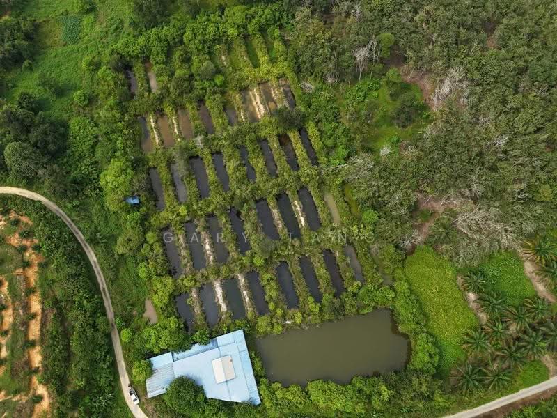 Agricultural Land for Sale in Taman Jerlun (Kuala Kangsar) - Gary Tang - Exterior - PropertyGuru.com.my