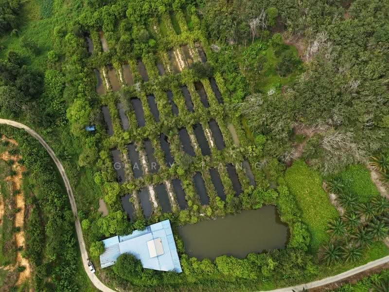 Agricultural Land for Sale in Taman Jerlun (Kuala Kangsar) - Gary Tang - Exterior - PropertyGuru.com.my