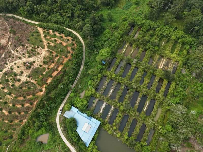 Agricultural Land for Sale in Taman Jerlun (Kuala Kangsar) - Gary Tang - Exterior - PropertyGuru.com.my