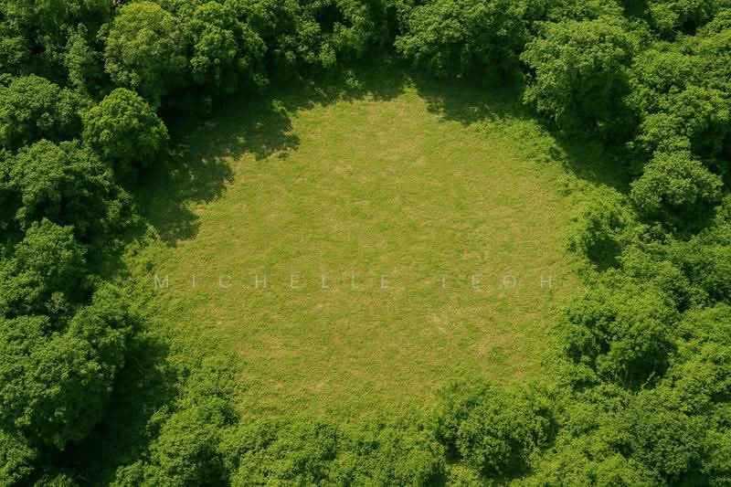 Agricultural Land for Sale in Mantin (Negeri Sembilan) - Michelle Teoh - Garden - PropertyGuru.com.my
