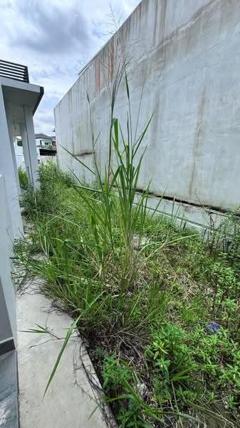Rumah Kluster untuk Dijual di Taman Glenmarie (Johor Bahru) - Elynn Lam - Exterior - PropertyGuru.com.my
