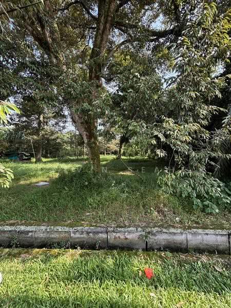 Agricultural Land for Sale in Sek 36, Kampung Sungai Kandis (Shah Alam) - Alvin Seah - Garden - PropertyGuru.com.my