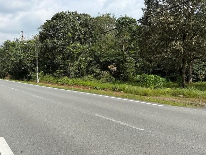 Agricultural Land for Sale in Tanjung Kupang (Iskandar Puteri (Nusajaya)) - Kelly Wai - Exterior - PropertyGuru.com.my