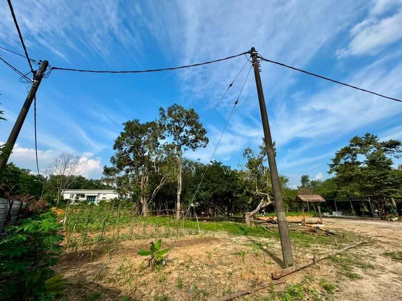 Tanah Pertanian untuk Dijual di Taman Laguna (Johor Bahru) - Kelly Wai - Exterior - PropertyGuru.com.my