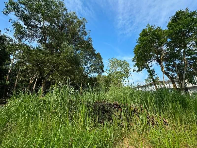 Tanah Pertanian untuk Dijual di Taman Laguna (Johor Bahru) - Kelly Wai - Exterior - PropertyGuru.com.my