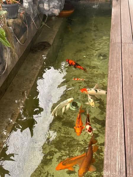 2-storey Terraced House for Sale in Sunway City Iskandar Puteri (Iskandar Puteri (Nusajaya)) - Jaz Lee - PropertyGuru.com.my