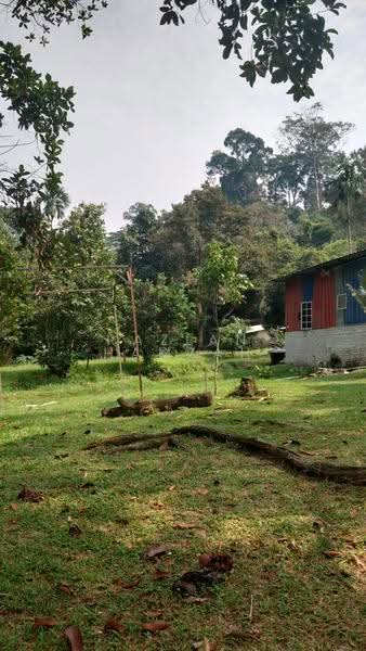 Agricultural Land for Sale in Selayang (Selangor) - Razlan Hamzah - Exterior - PropertyGuru.com.my