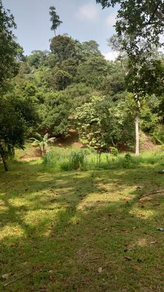Agricultural Land for Sale in Selayang (Selangor) - Razlan Hamzah - Garden - PropertyGuru.com.my