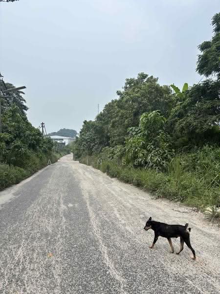 Agricultural Land for Sale in Taman Perindustrian Meranti (Puchong) - Alvin Seah - PropertyGuru.com.my