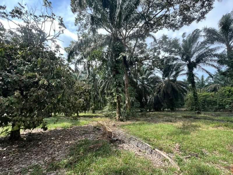 Industrial Land for Sale in Pekan Nanas (Johor) - Kelly Wai - Garden - PropertyGuru.com.my