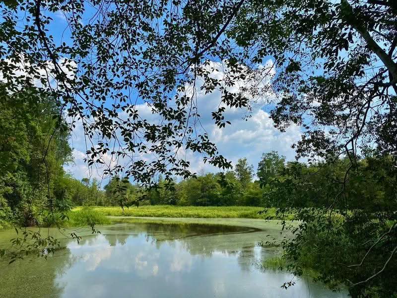 Agricultural Land for Sale in Taman Kuala Kubu Utama (Kuala Kubu Bharu) - Alvin Seah - Exterior - PropertyGuru.com.my