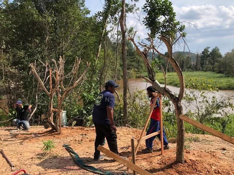 Agricultural Land for Sale in Taman Kuala Kubu Utama (Kuala Kubu Bharu) - Alvin Seah - Exterior - PropertyGuru.com.my