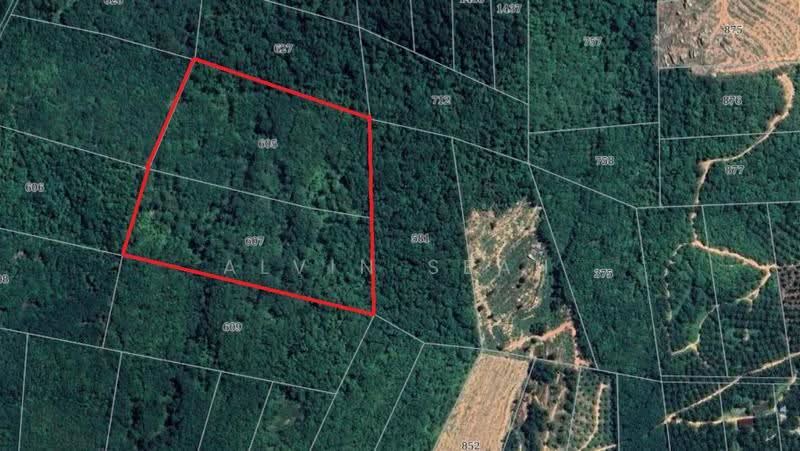 Agricultural Land for Sale in Kampung Tampin Tengah (Tampin) - Alvin Seah - PropertyGuru.com.my