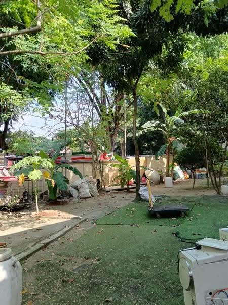 Rumah Teres 3-Tingkat untuk Dijual di Taman Sri Muda (Shah Alam) - Connie Ng - Garden - PropertyGuru.com.my