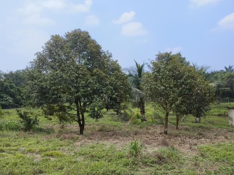 Tanah Pertanian untuk Dijual di Karak (Pahang) - Simone Ngo - Exterior - PropertyGuru.com.my