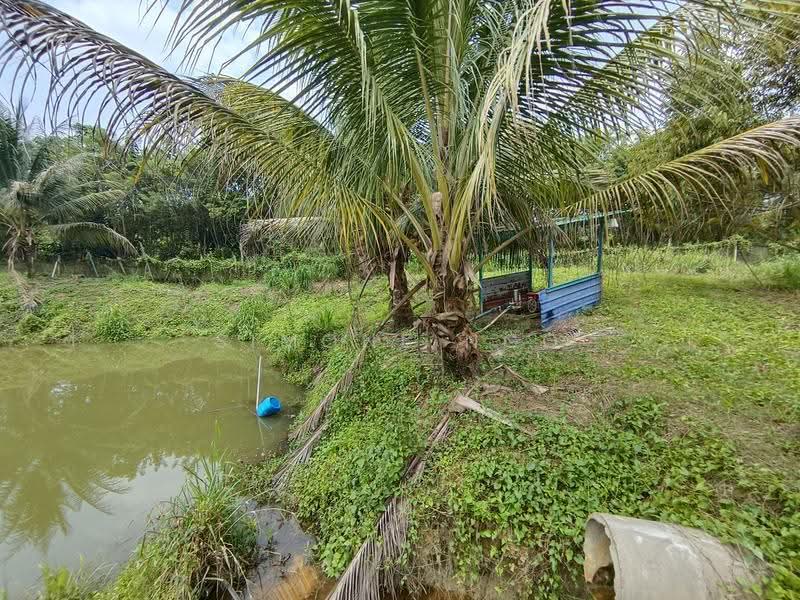 Tanah Pertanian untuk Dijual di Karak (Pahang) - Simone Ngo - Exterior - PropertyGuru.com.my