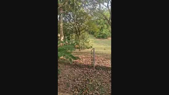 Semi-Detached House for Sale in Presint 15 (Putrajaya) - Amirruddin . - PropertyGuru.com.my