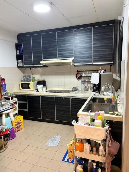 Apartment for Sale at Arcadia - Christine Tan - Kitchen - PropertyGuru.com.my