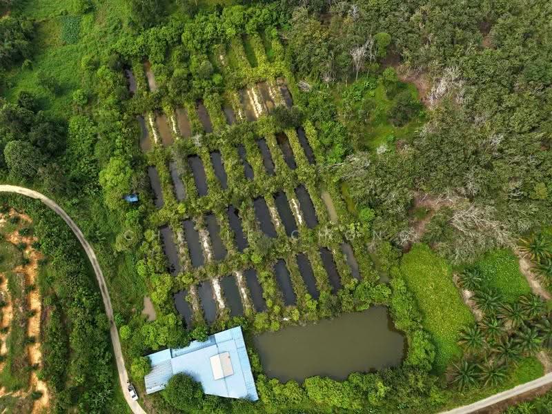 Agricultural Land for Sale in Jerlun (Kuala Kangsar) - Cherie Chong - PropertyGuru.com.my