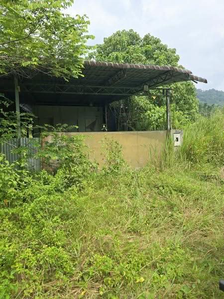 Agricultural Land for Sale in Jerlun (Kuala Kangsar) - Cherie Chong - PropertyGuru.com.my