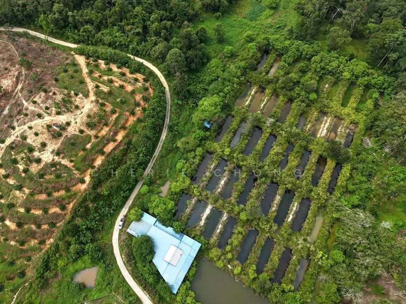 Agricultural Land for Sale in Jerlun (Kuala Kangsar) - Cherie Chong - PropertyGuru.com.my