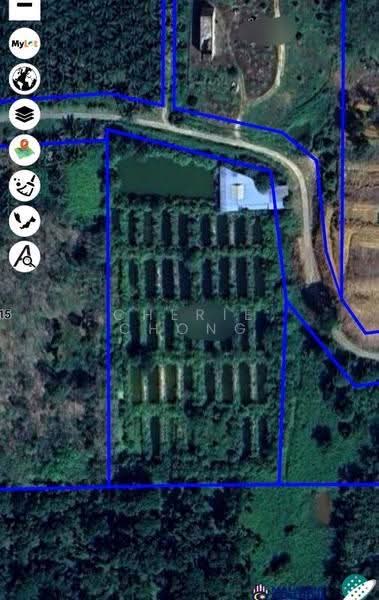 Agricultural Land for Sale in Jerlun (Kuala Kangsar) - Cherie Chong - PropertyGuru.com.my