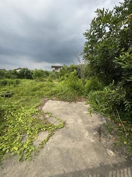 Tanah Kediaman untuk Dijual di Anson Park (Teluk Intan) - Fennie Tee - PropertyGuru.com.my