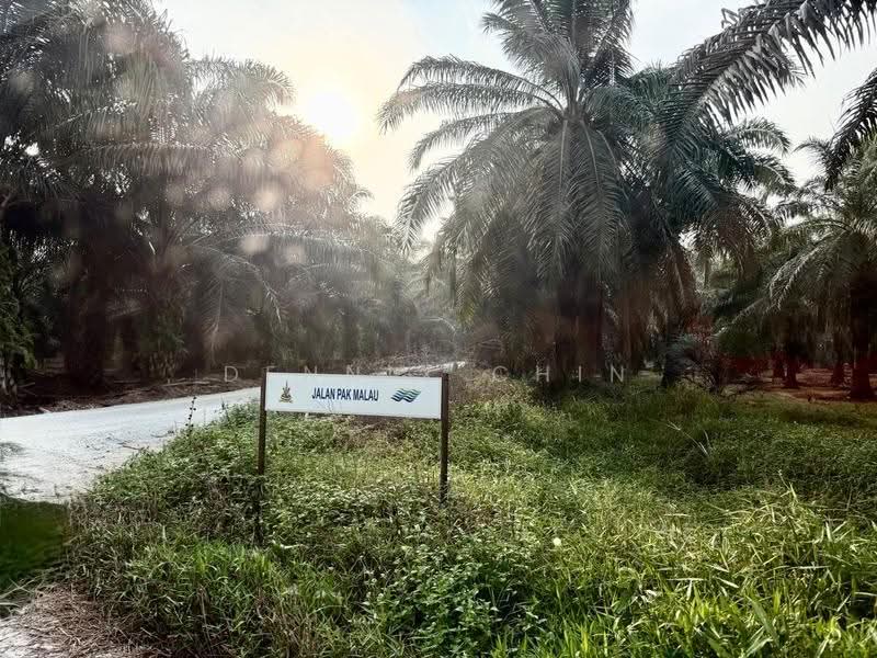 Agricultural Land for Sale in Jeram (Jeram) - Dennix Chin - Exterior - PropertyGuru.com.my