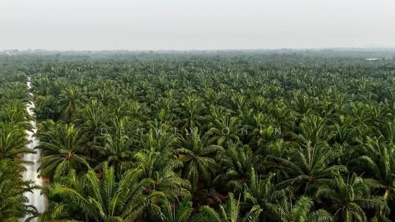 Agricultural Land for Sale in Jeram (Jeram) - Dennix Chin - Exterior - PropertyGuru.com.my