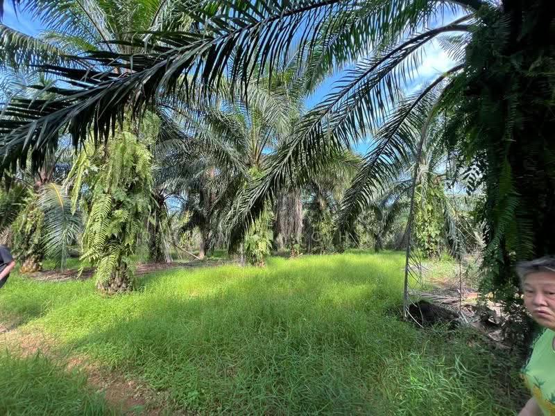 Agricultural Land for Sale in Jeram (Jeram) - Dennix Chin - Exterior - PropertyGuru.com.my