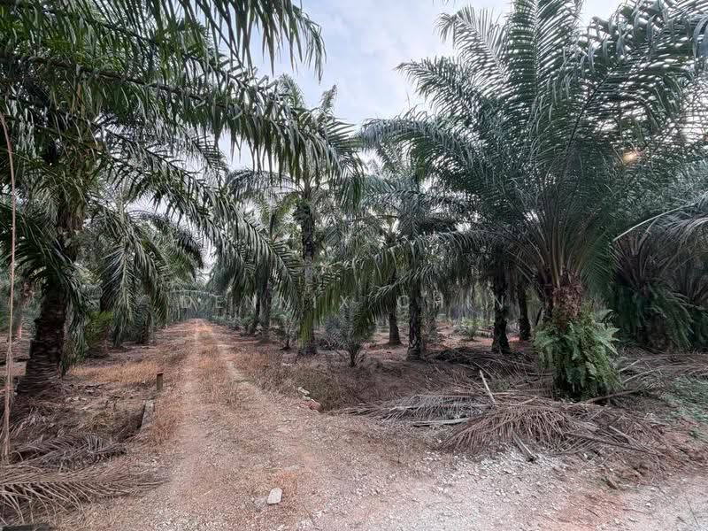Agricultural Land for Sale in Jeram (Jeram) - Dennix Chin - Exterior - PropertyGuru.com.my