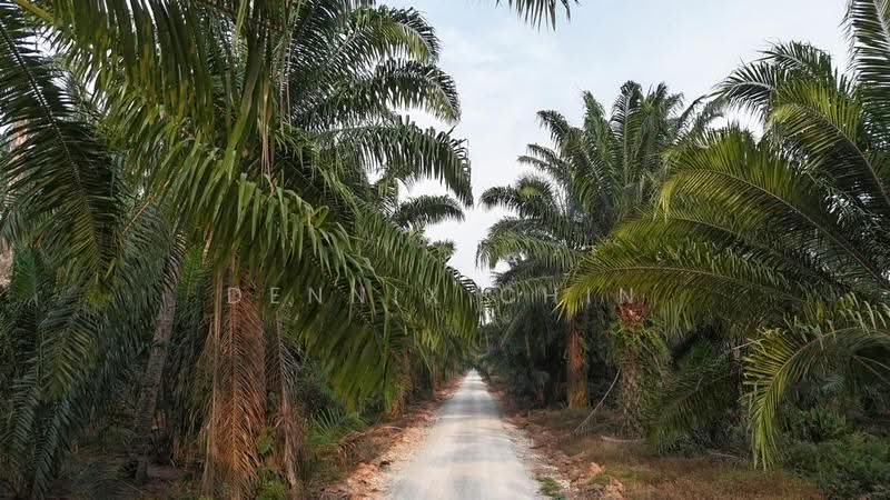 Agricultural Land for Sale in Jeram (Jeram) - Dennix Chin - Exterior - PropertyGuru.com.my