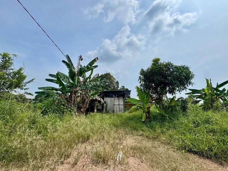 Agricultural Land for Rent in Pontian (Johor) - Saedah Napisah - Exterior - PropertyGuru.com.my