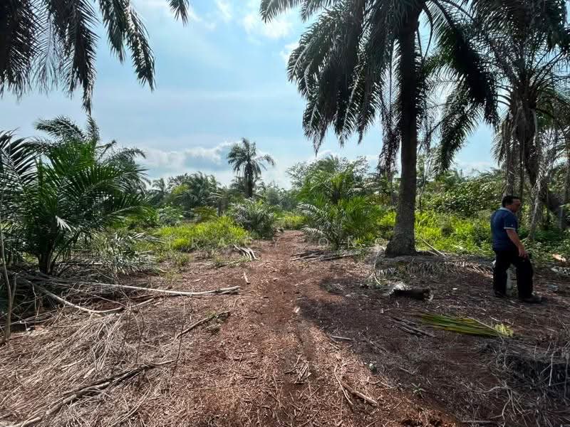 Tanah Pertanian untuk Dijual di Pontian (Johor) - Tracy Ong - Exterior - PropertyGuru.com.my