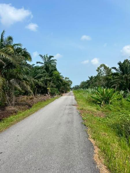 Tanah Pertanian untuk Dijual di Pontian (Johor) - Tracy Ong - Exterior - PropertyGuru.com.my