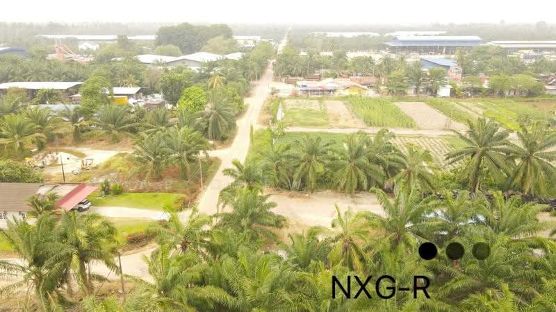 Agricultural Land for Sale in Kapar (Selangor) - Yap Chew Ying - PropertyGuru.com.my