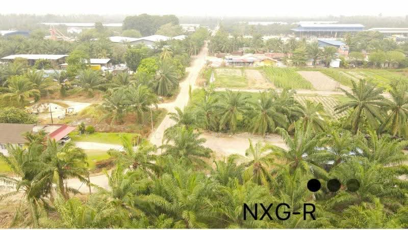 Agricultural Land for Sale in Kapar (Selangor) - Yap Chew Ying - PropertyGuru.com.my