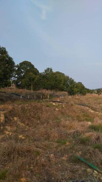 Agricultural Land for Sale in Simpang Pertang (Negeri Sembilan) - Kelly Wai - Exterior - PropertyGuru.com.my