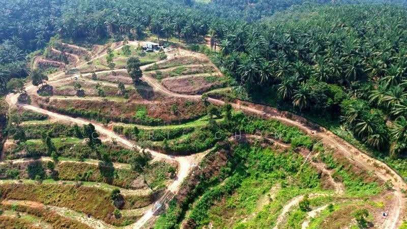 Agricultural Land for Sale in Sungai Siput (Perak) - Cherie Chong - PropertyGuru.com.my