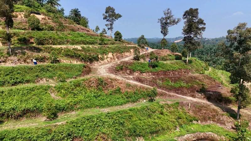 Agricultural Land for Sale in Sungai Siput (Perak) - Cherie Chong - PropertyGuru.com.my
