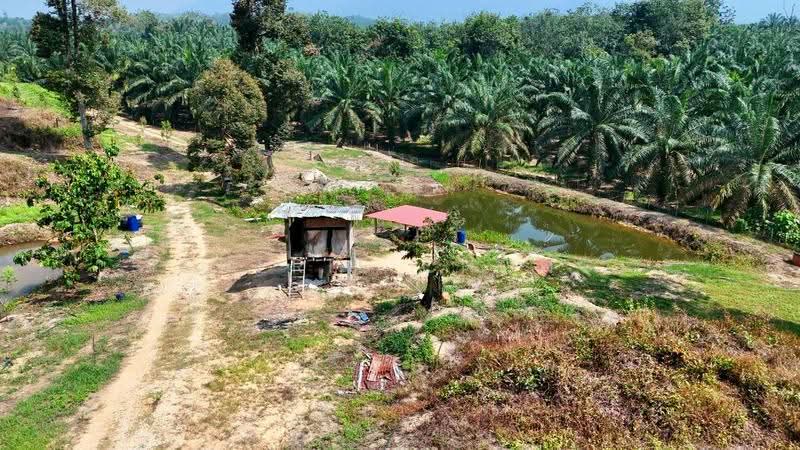 Agricultural Land for Sale in Sungai Siput (Perak) - Cherie Chong - PropertyGuru.com.my